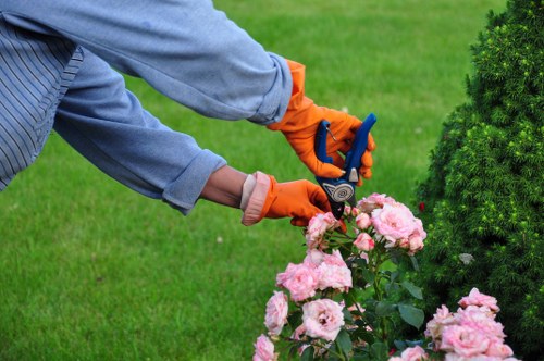 Training session for Hayes garden maintenance staff on recognising exploitation