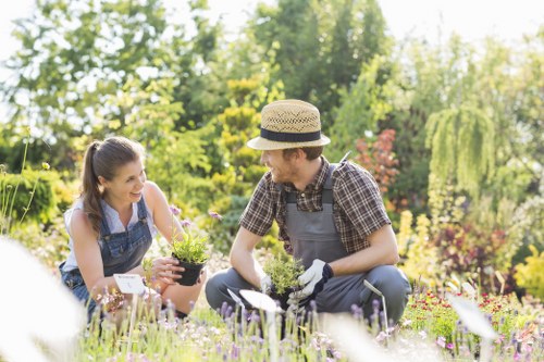 Worker assessing a garden with clipboard